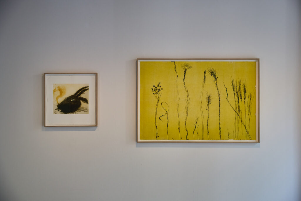 Miquel Barceló crea amb grans traços 'Sense títol' (1990) reflectint la seva visió artística abstracta i texturada.